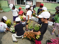 花を植える児童５