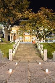 石上寺ライトアップ写真