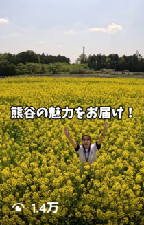 菜の花2025