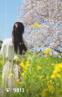 桜2025