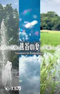 夏2025まとめ