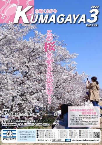 市報くまがや3月号の表紙は、桜の開花が満開の熊谷桜堤です。
