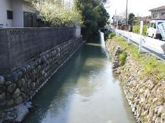 樋春地内を流れる用水路の写真