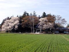 板井の伊波比神社の写真