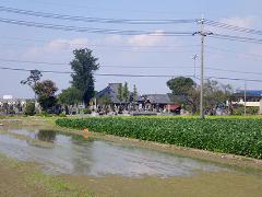 御正新田地内の浄安寺の写真