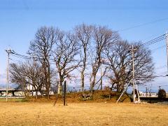 横塚山古墳の写真