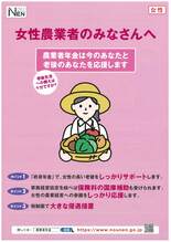 女性向けチラシ