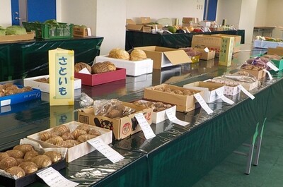共進会の様子。箱に入ったさといもが長テーブルに10箱以上並んでいる。