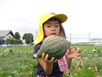 ずっしりカボチャ