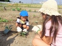 虫取り除く