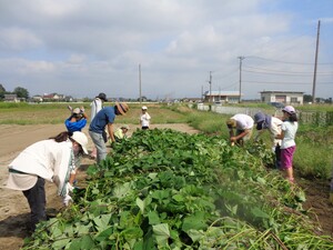 つる返し
