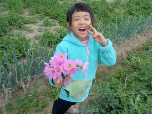 花束