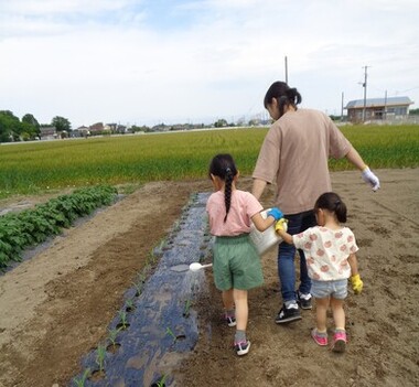みんなで農業体験・料理教室　写真4