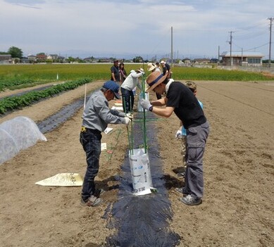 みんなで農業体験・料理教室　写真5