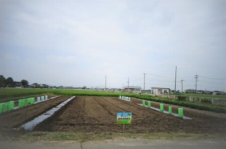 作業後の誰もいない畑