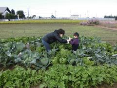 みんなで農業体験・料理教室 除草作業（2）