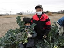 みんなで農業体験・料理教室　収穫の写真8