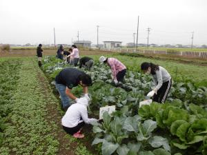 除草作業