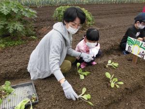 野菜の作付1