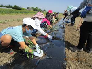 みんなで農業体験・料理教室　写真6