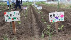 各家庭の農園ができました