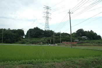 田園風景の写真