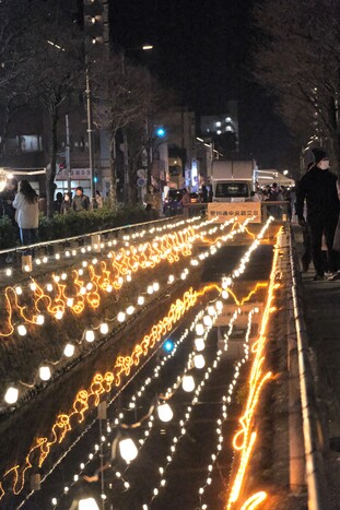 星川イルミネーション