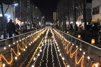 星川イルミネーション