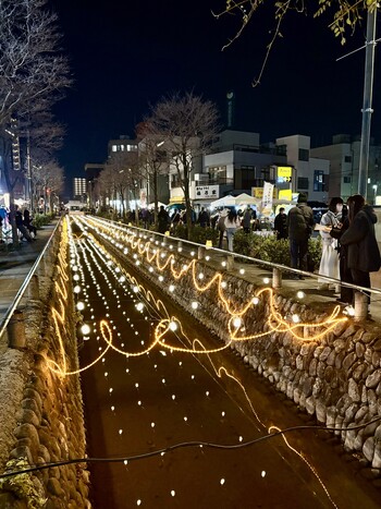 星川イルミネーション