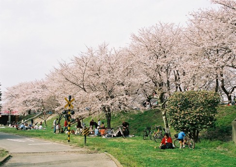 万平公園の写真