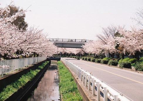 熊谷スポーツ文化公園の写真