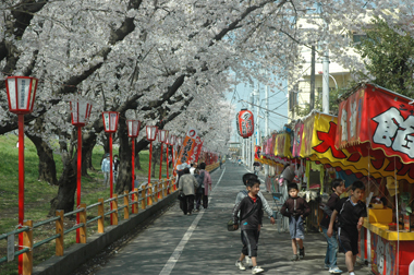 さくら祭りのイメージ