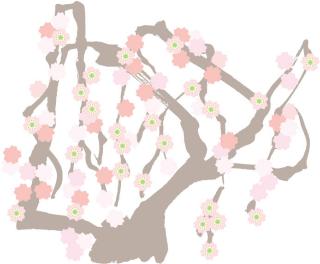 しだれ桜のイラスト