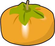 柿のイラスト