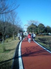 別府沼公園ジョギングコース2