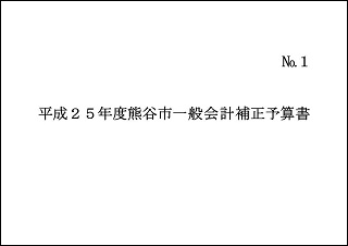 平成25年度熊谷市一般会計・特別会計6月補正予算書
