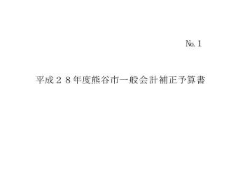 平成28年度熊谷市一般会計・特別会計6月補正予算書