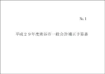 平成29年度熊谷市一般会計・特別会計6月補正予算書