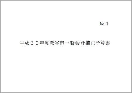 平成30年度熊谷市一般会計・特別会計6月補正予算書