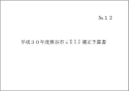 平成30年度熊谷市一般会計・特別会計補正予算書