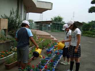 別府小学校の学校花緑いっぱい