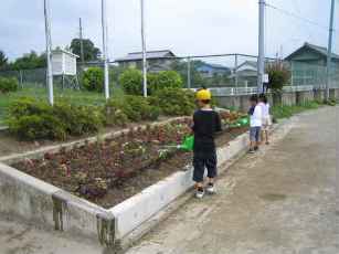 大幡小学校の学校花緑いっぱい