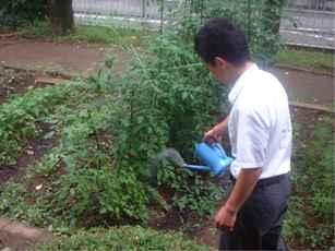 富士見中学校の花緑いっぱい