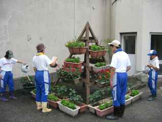 奈良中学校の花緑いっぱい