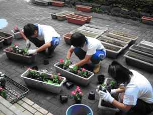 奈良中学校の花緑いっぱい