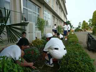 大里中学校の花緑いっぱい