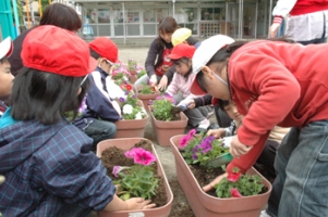 ペチュニアを植える園児たち