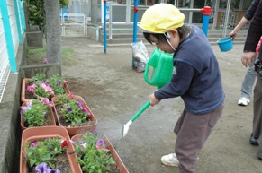 お花へお水をあげる園児の写真