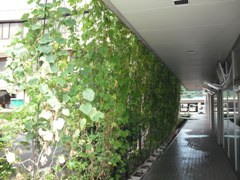 横から