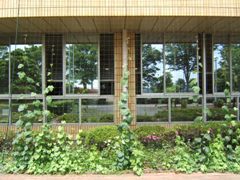 平成21年6月5日の様子